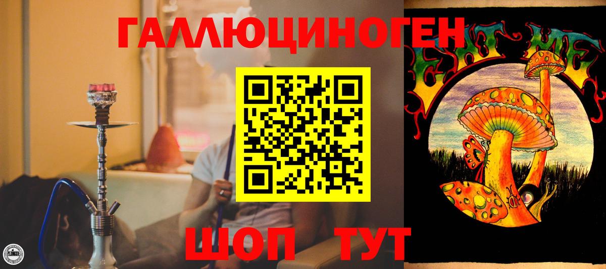 Ухта  Галлюциногенные грибы Psilocybe  Вход с VPN 